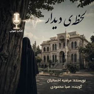 رمان صوتی لحظه دیدار